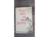 Rădăcinile înțelepciunii, Hong Zicheng