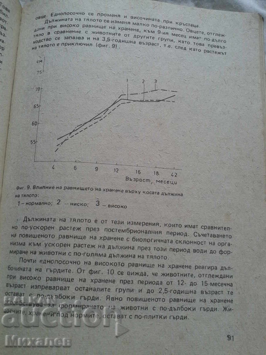 Аукцион Отглеждане на млади животни за разплод ЗЕМИЗДАТ