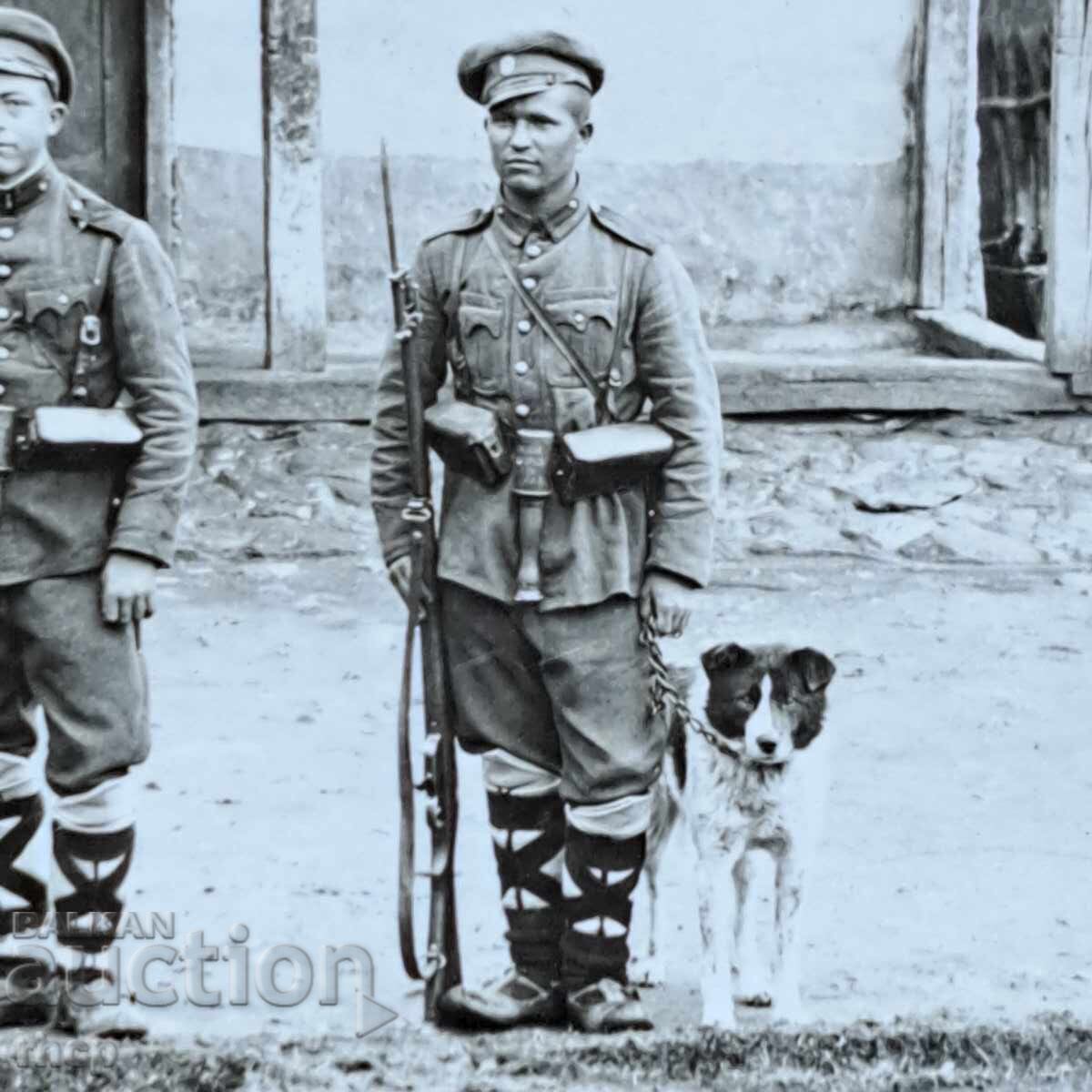 Аукцион 1930те граничари застава куче стара снимка Царство България
