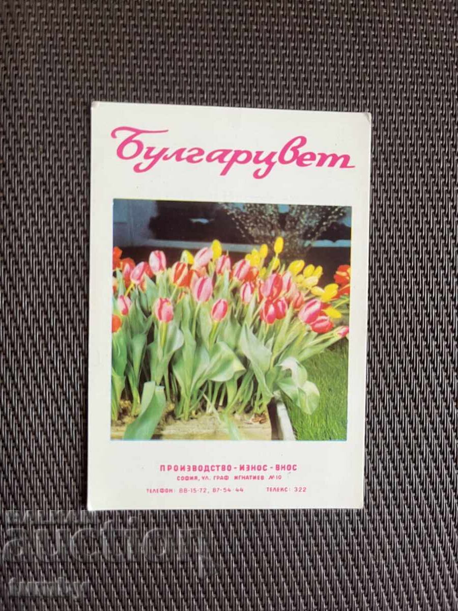 Calendar 1970 Calendar 1970