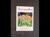Calendar 1970