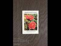 Calendar 1969