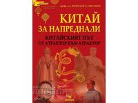 Chineză pentru avansați