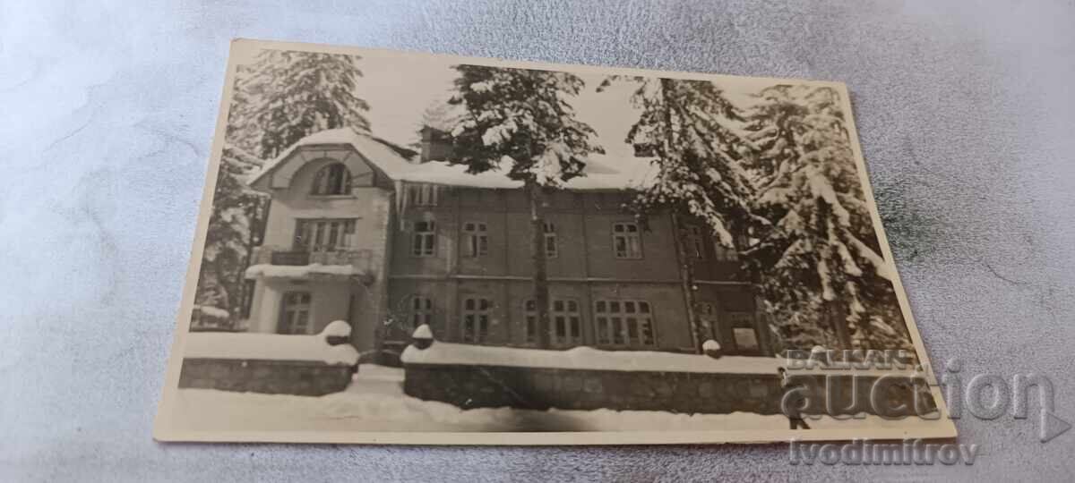 Fotografie Chamkoria iarna
