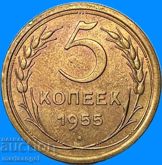 Русия 5 копейки 1955  СССР - 5
