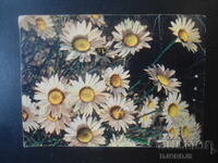 Old Russian greeting card