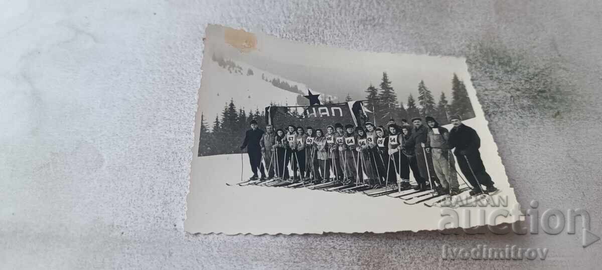 Photo of skiers on the ski slope Photo of skiers on the ski slope