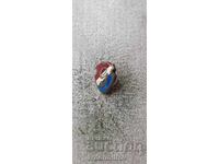 GVARDIA WARSZAWA badge