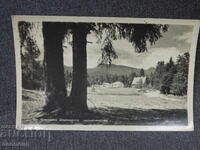 OLD RETRO POSTCARD PC BOROVETS FORESTRY