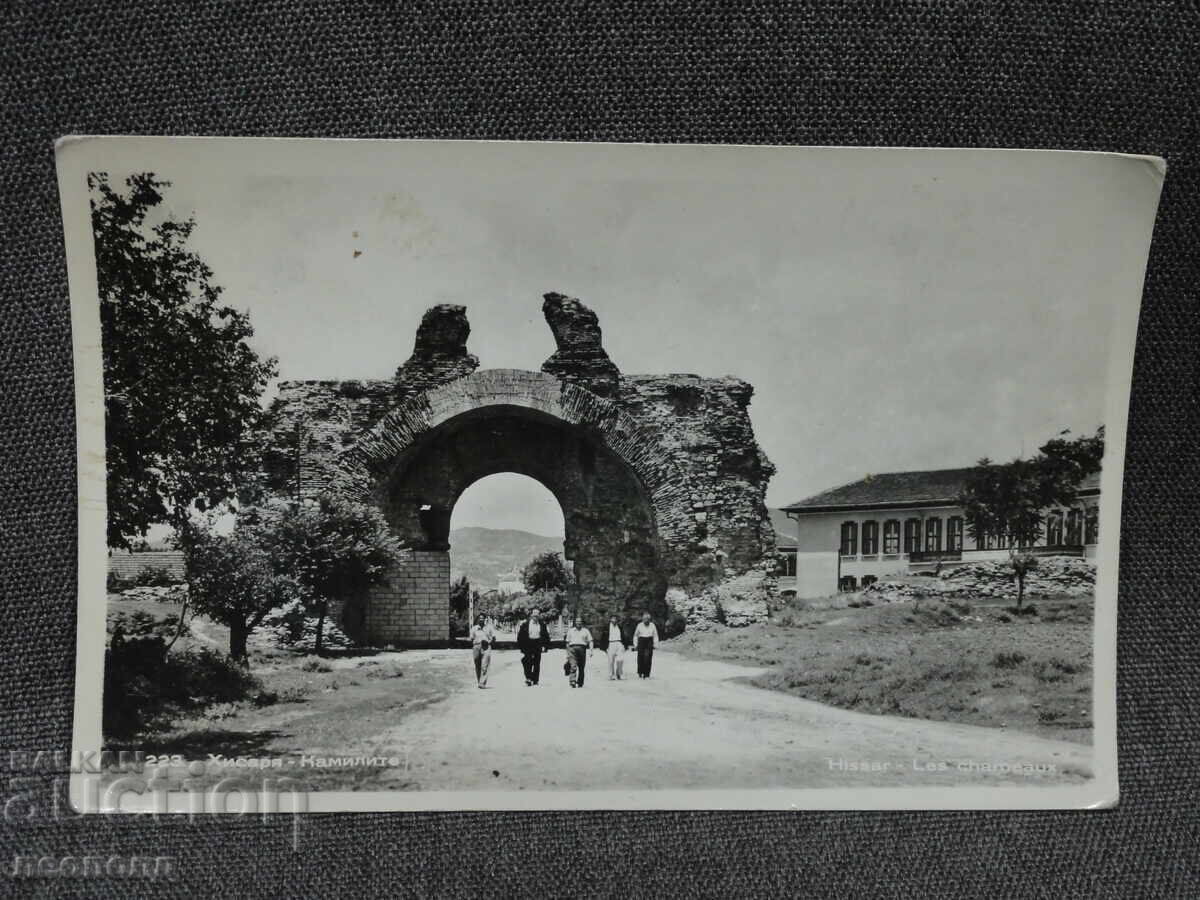 OLD RETRO POSTCARD PC HISARYA THE CAMELS