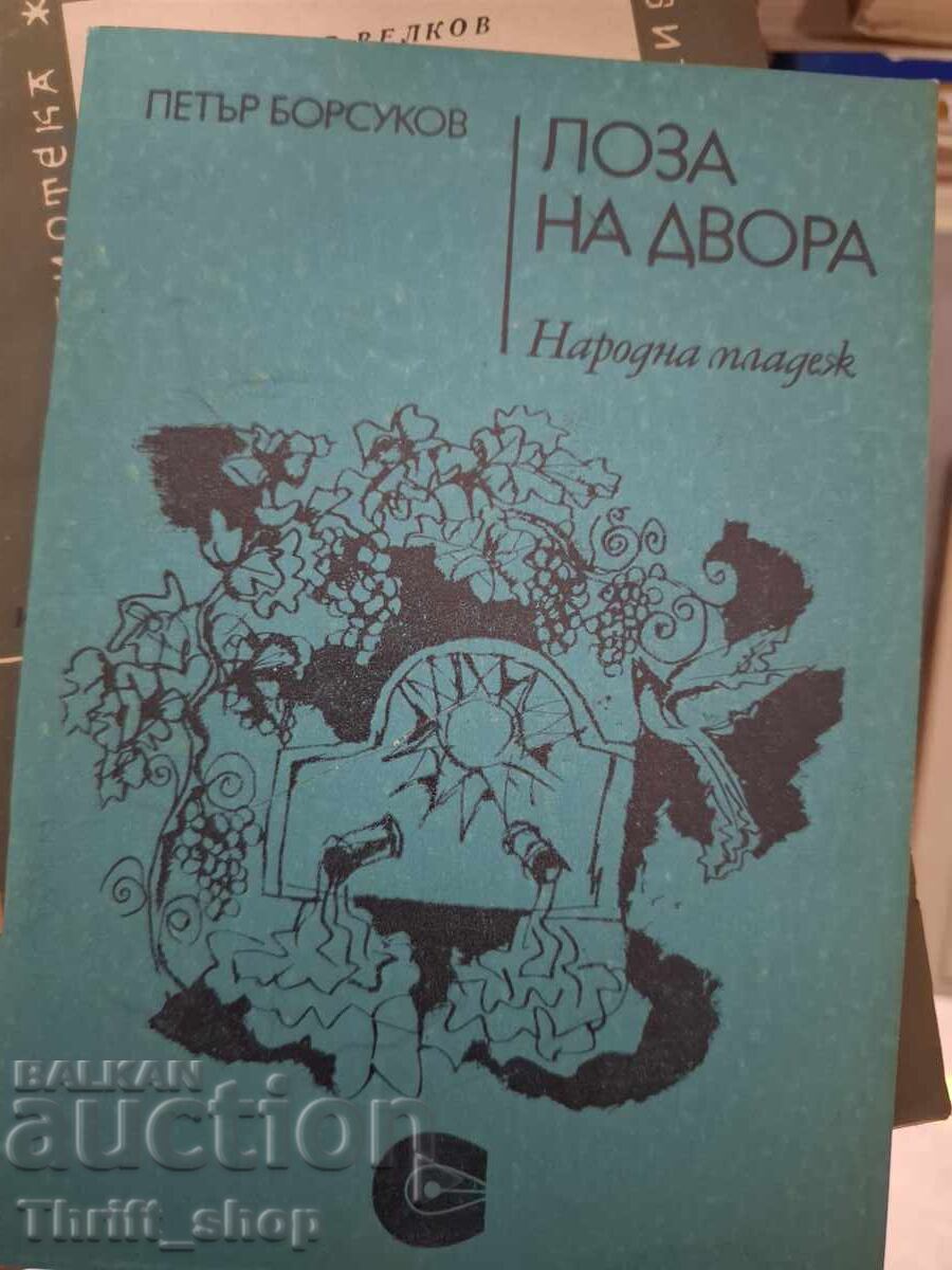 Κλήμα στην αυλή Πέταρ Μπορσούκοφ
