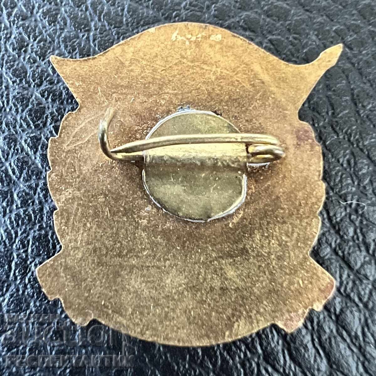 RARE BADGE PIN EXCELLENT WORKER OF THE MNZSG with price € 5.00 | 9.78 BGN