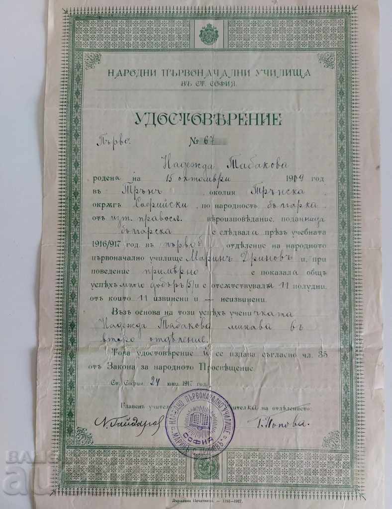 Δημοπρασία 1917 ΠΙΣΤΟΠΟΙΗΤΙΚΟ ΔΗΜΟΤΙΚΟΥ ΣΧΟΛΕΙΟΥ Β' ΤΑΞΗΣ