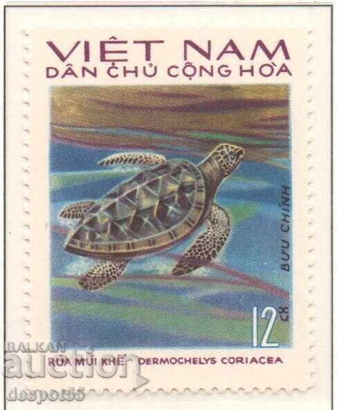 1975. N. Vietnam. The "raised" turtle. CURIOSITY!