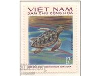 1975. N. Vietnam. The "raised" turtle. CURIOSITY!