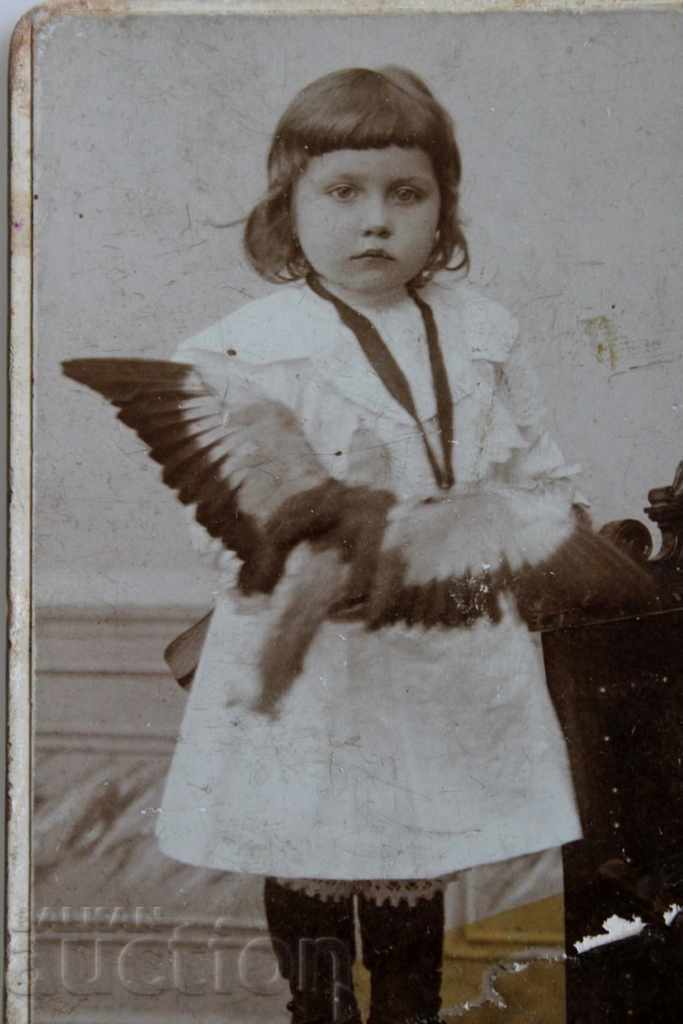 1900 FOTOGRAFIE CARTON PORTRET COPIL PORUMBEI PASĂRE COPII cu preț € 9.71 | 18.99 BGN