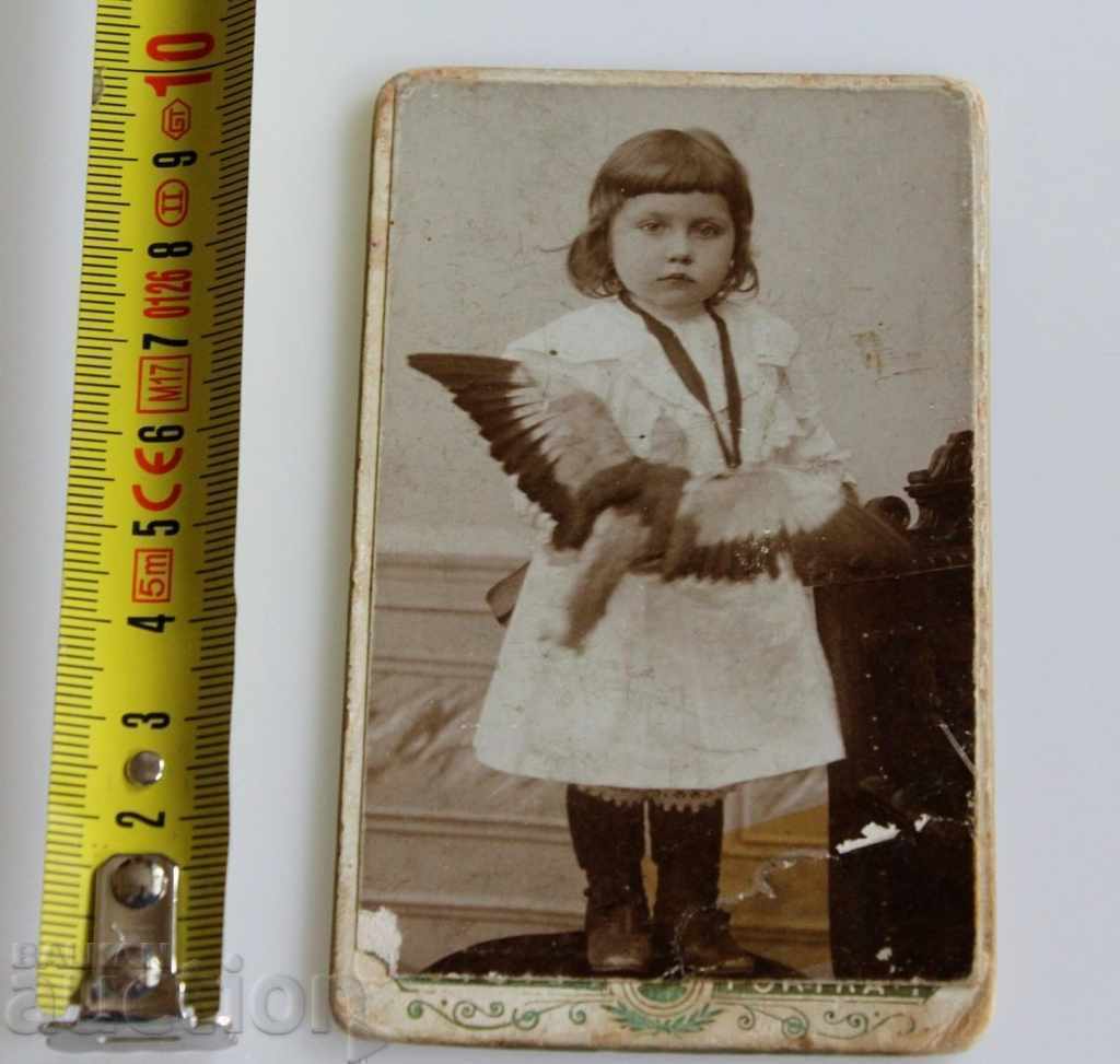 Licitație 1900 FOTOGRAFIE CARTON PORTRET COPIL PORUMBEI PASĂRE COPII