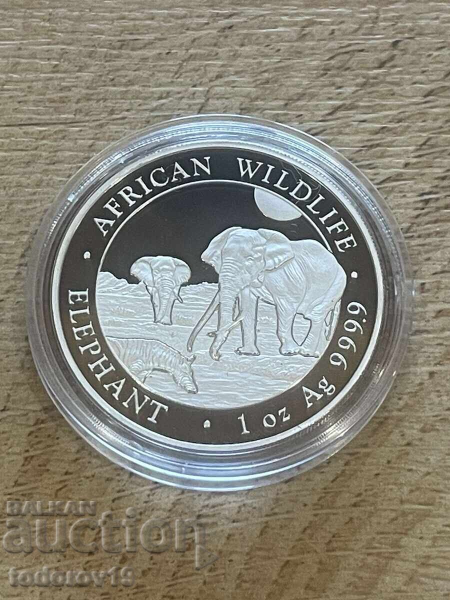 Licitație Argint 1 oz Elefant 2026 Somalia Licitație Argint 1 oz Elefant 2026 Somalia