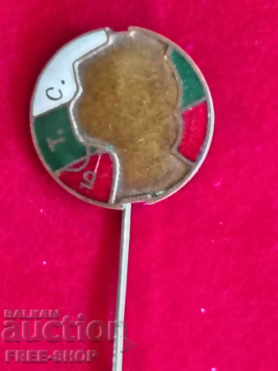 Tsarist enamel badge