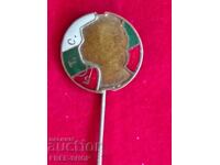 Tsarist enamel badge