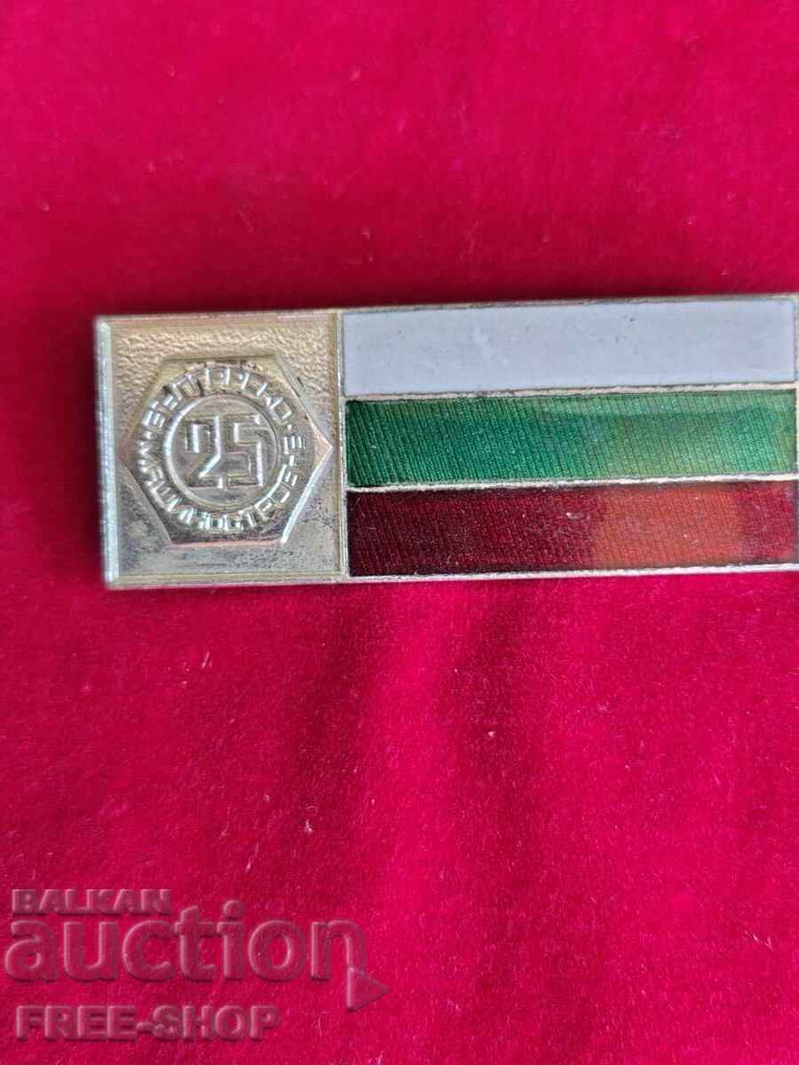 Enamel badge