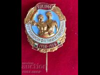Enamel badge