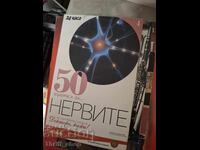 50 ερωτήσεις για τα νεύρα