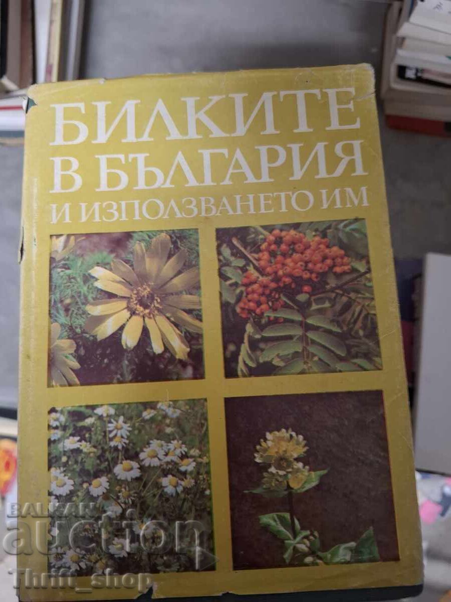Herbs in Bulgaria and their use