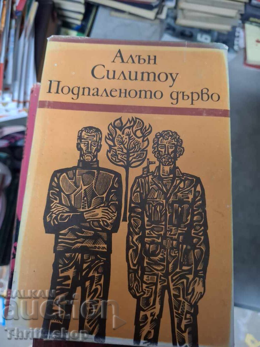 Το αναμμένο δέντρο, Άλαν Σίλιτοου
