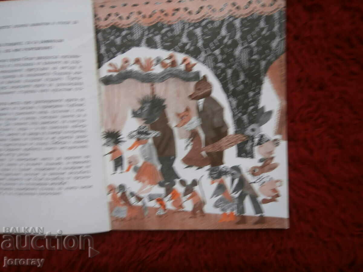 Auction  Illustrations Zl. Dabova