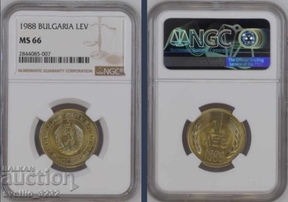 1 lev 1988 MS 66 NGC