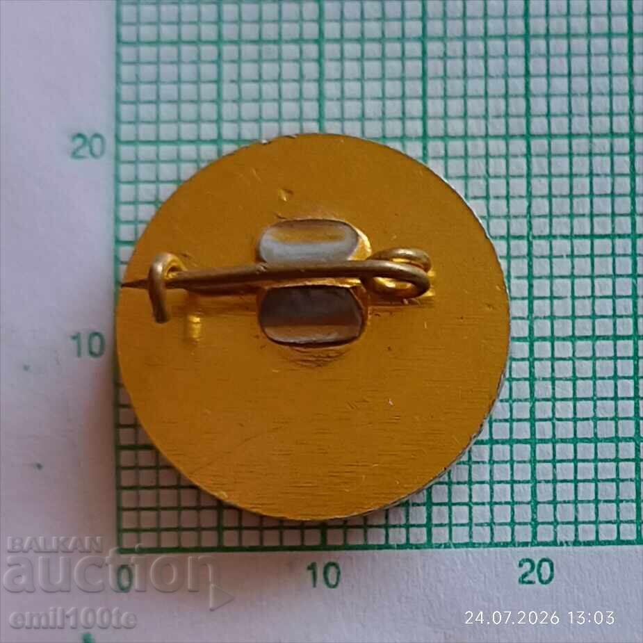 Livrarea Insignă - Raliu Hebros Livrarea Insignă - Raliu Hebros