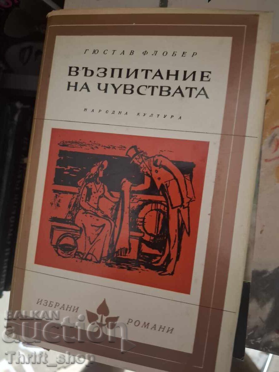 Educația sentimentală Flaubert
