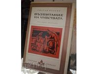 Educația sentimentală Flaubert