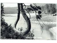 FOTOGRAFIE VECHE BARAJ BATAK BATASHKATA LIRA J840