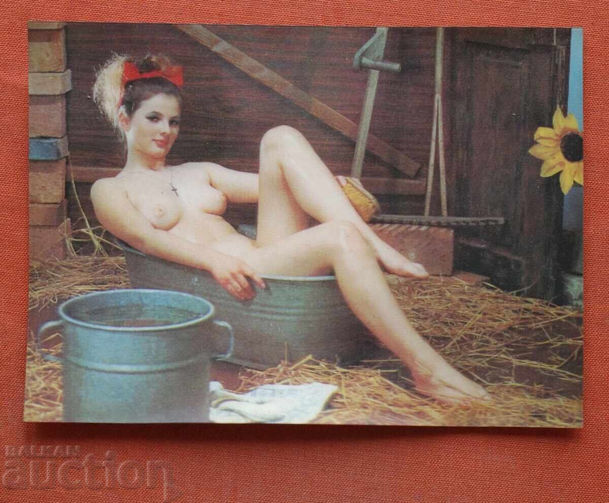 Stereo Erotica