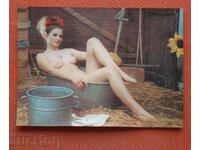 Stereo Erotica