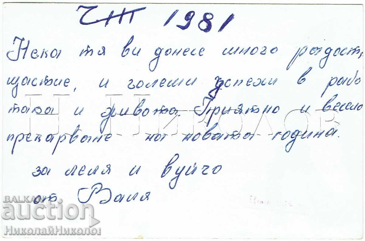 СТАРА КАРТИЧКА ПЛЕВЕН ЗИМНИ ИЗГЛЕДИ ОТ ПАРК "КАЙЛЪКА" Ж853 с цена € 2.50 | 4.89 лв.