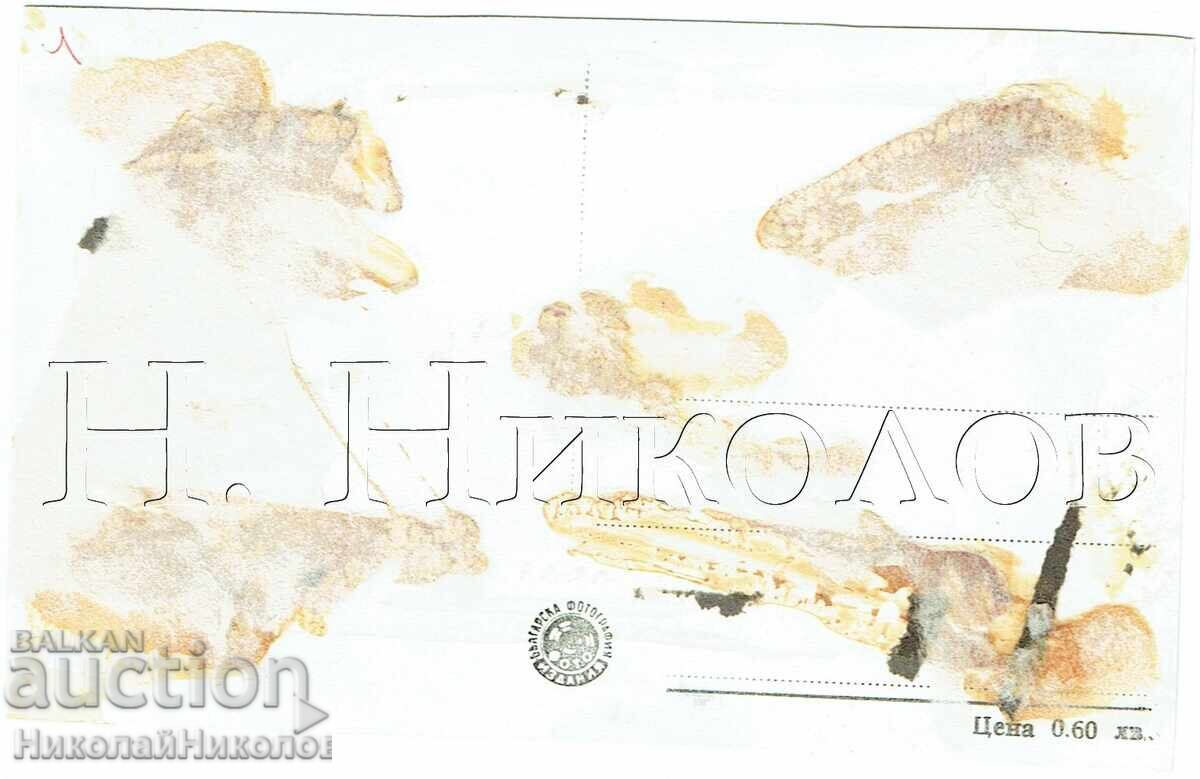 ΠΑΛΑΙΑ ΚΑΡΤ ΠΟΣΤΑΛ ΣΙΠΚΑ ΤΟ ΜΝΗΜΕΙΟ ΣΤΗΝ ΚΟΡΥΦΗ "ΣΤΟΛΕΤΟΦ" Ζ858 με τιμή € 2.50 | 4.89 BGN