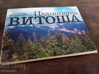 Muntele Vitosha