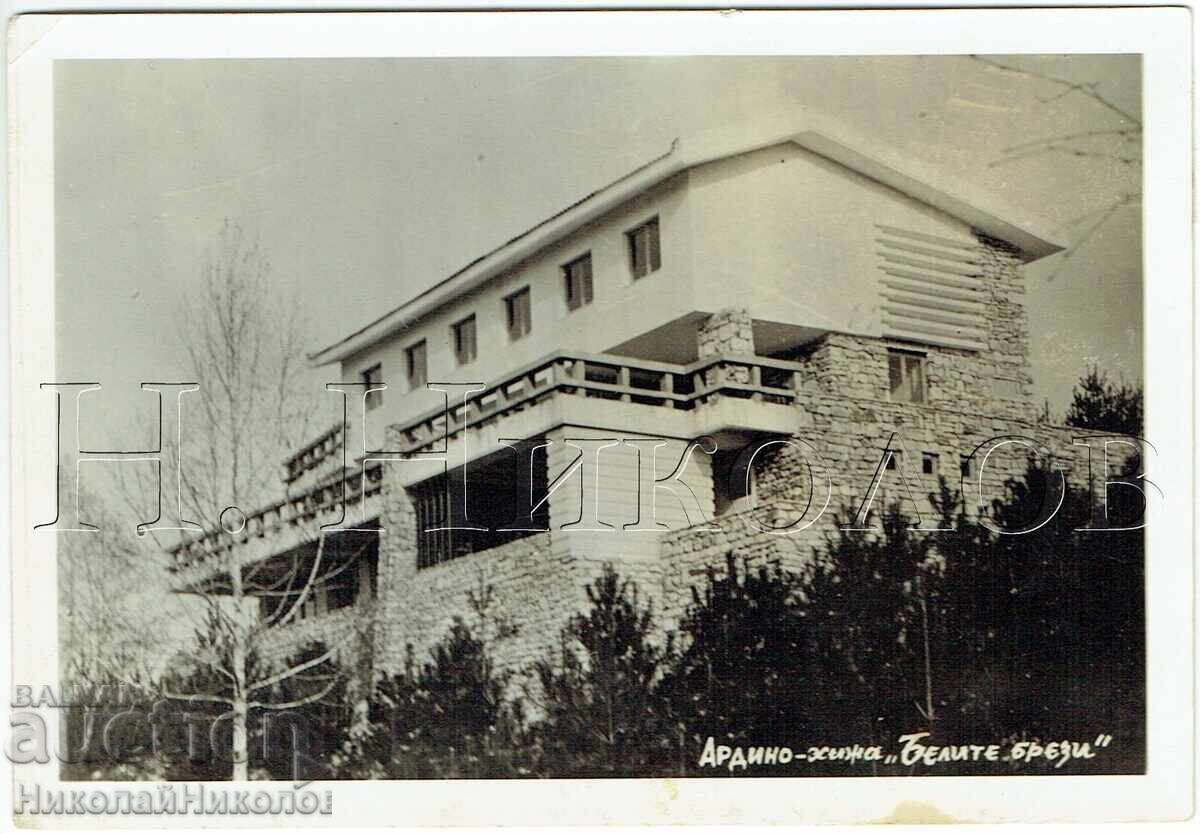 FOTOGRAFIE VECHE ARDINO CABANA "BELITE BREZI" J861 FOTOGRAFIE VECHE ARDINO CABANA "BELITE BREZI" J861