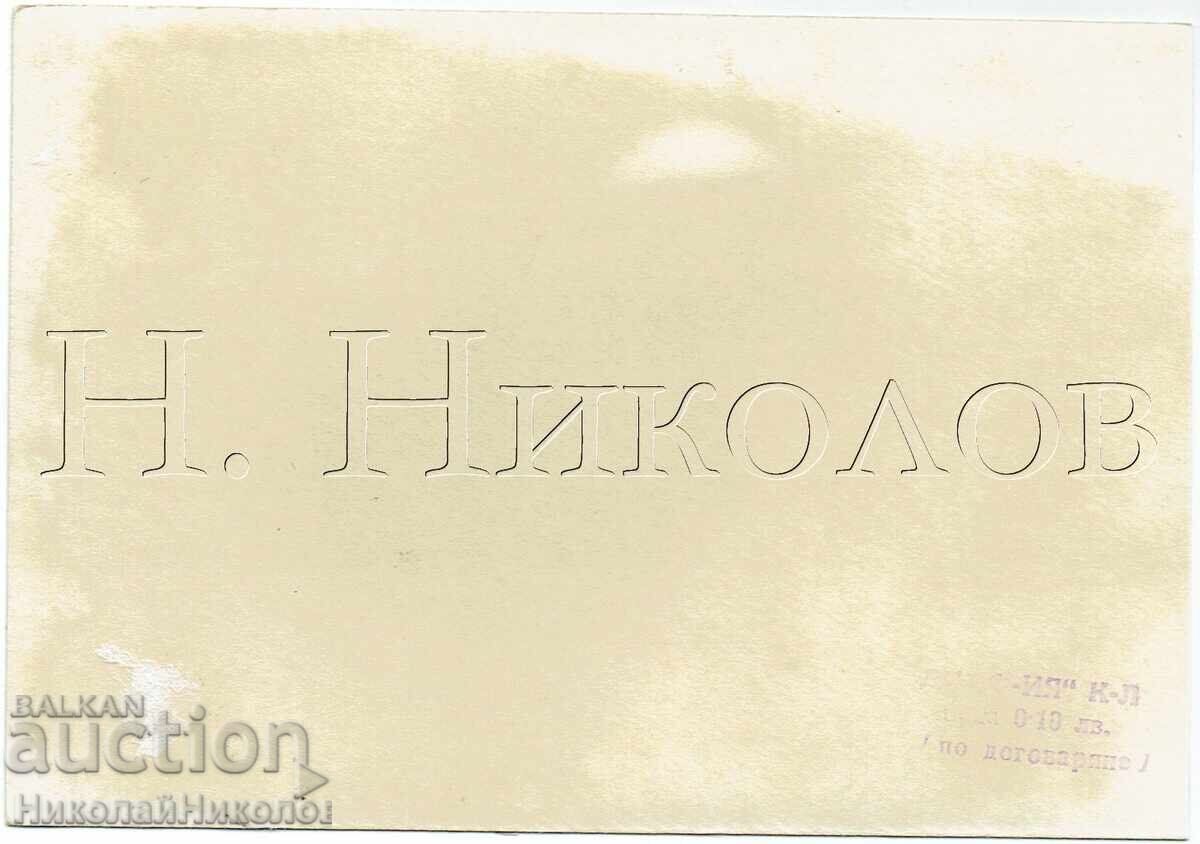 СТАРА КАРТИЧКА ДИМИТРОВГРАД ГРАДСКИ ИЗГЛЕД Ж866 с цена € 2.50 | 4.89 лв.