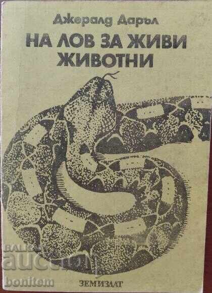 Vânătoarea de animale vii - Gerald Darrell