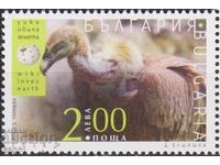 Marcă pură Fauna Wiki iubește pământul Vultur 2016 din Bulgaria