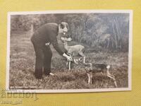 Fotografie veche, carte poștală Al Treilea Reich, Al Doilea Război Mondial
