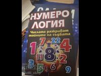 Αριθμολογία: Οι αριθμοί αποκαλύπτουν τα μυστικά της μοίρας