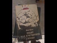 Στη φωλιά του κούκου, Κεν Κίζι