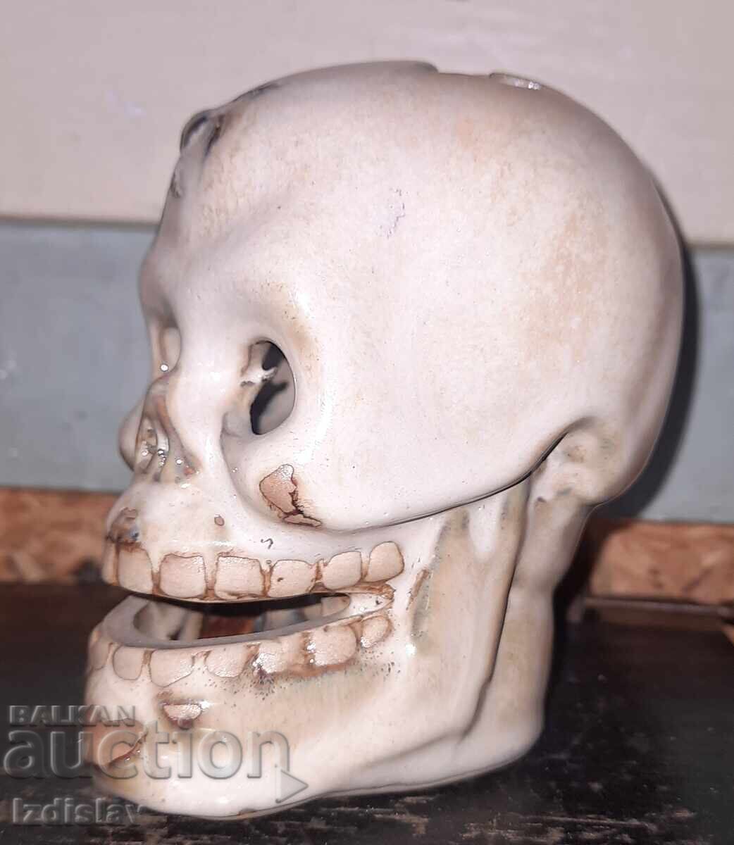 Craniu, ceramică, porțelan cu preț € 27.00 | 52.81 BGN