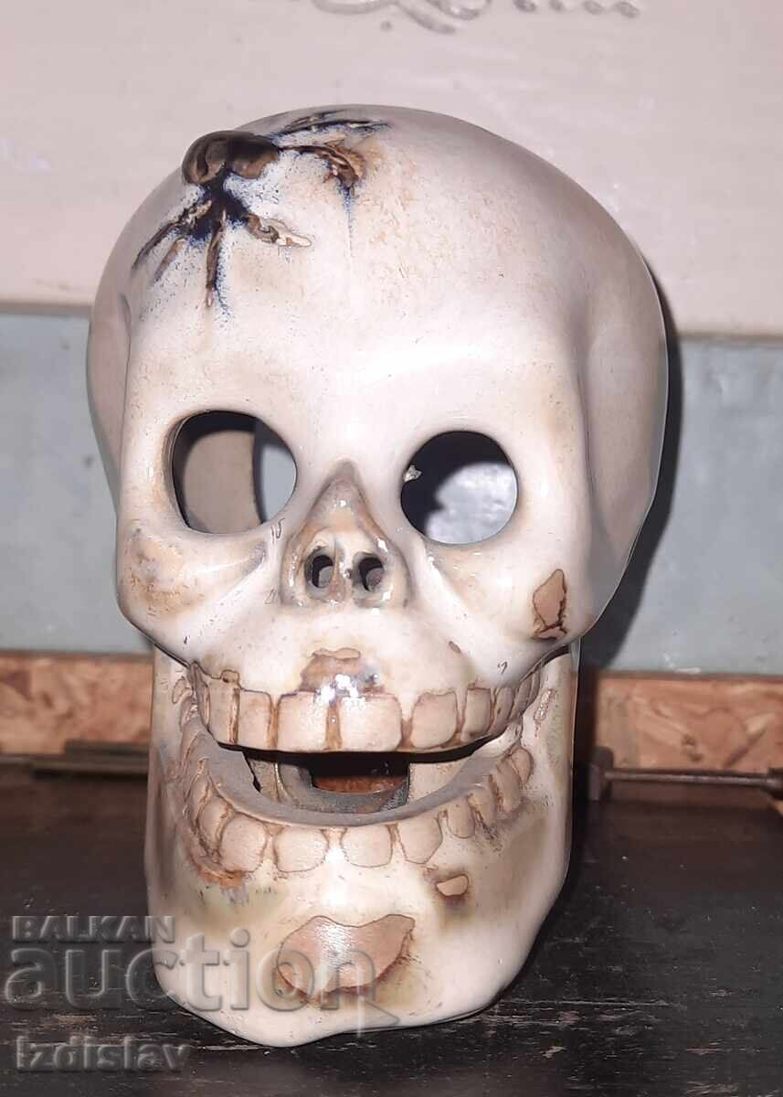 Livrarea Craniu, ceramică, porțelan