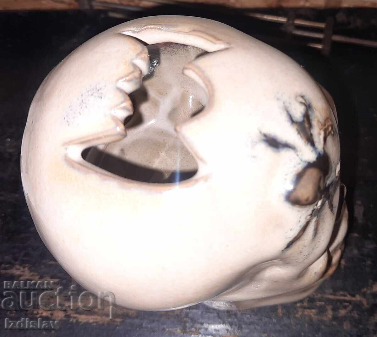 Craniu, ceramică, porțelan - 6